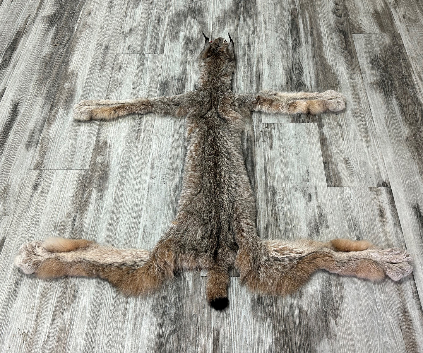PEAU - LYNX #0000944