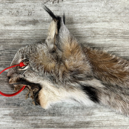 PEAU - LYNX #0000944