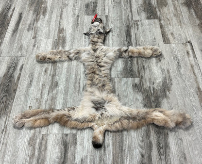 DRESSED SKIN - LYNX - #0000947