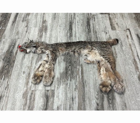 DRESSED SKIN - LYNX - #0000947