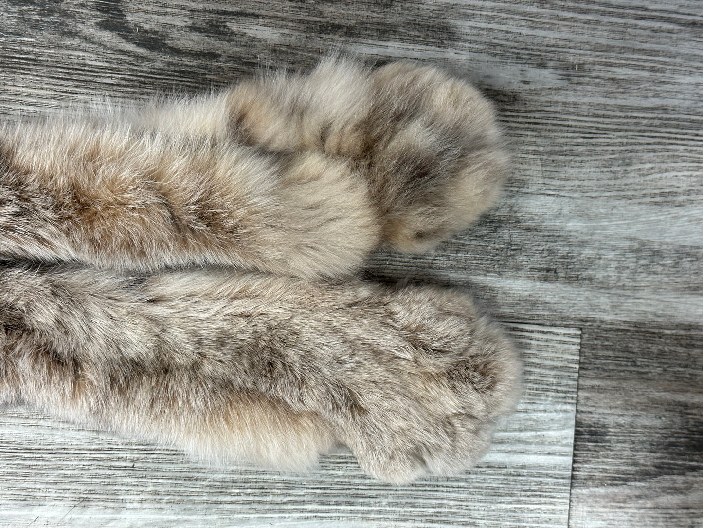 DRESSED SKIN - LYNX - #0000947