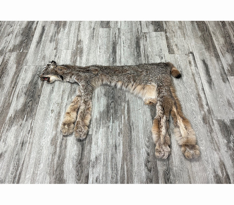 PEAU - LYNX #0000948