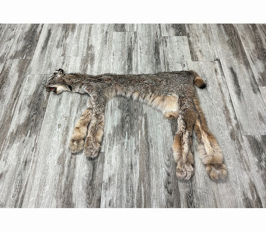 DRESSED SKIN - LYNX - #0000948