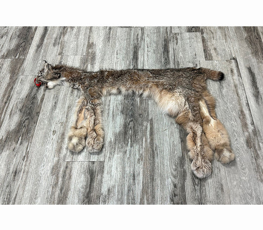 DRESSED SKIN - LYNX - #0000951