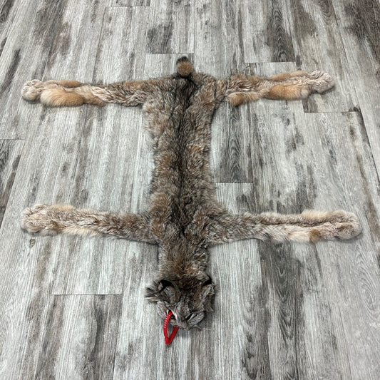 PEAU - LYNX #0000951