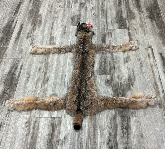 PEAU - LYNX #0000951