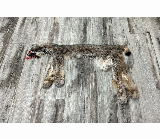 DRESSED SKIN - LYNX - #0000952