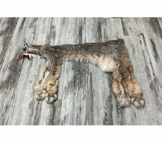 DRESSED SKIN - LYNX - #0000953