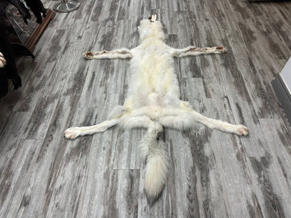 Peau - Loup Arctique #0000991