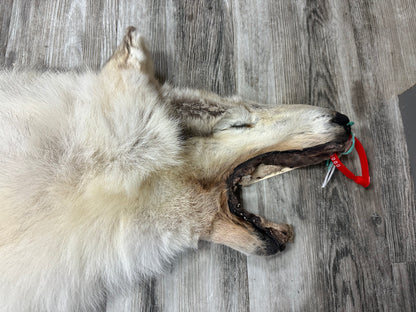 Peau - Loup Arctique #0000991