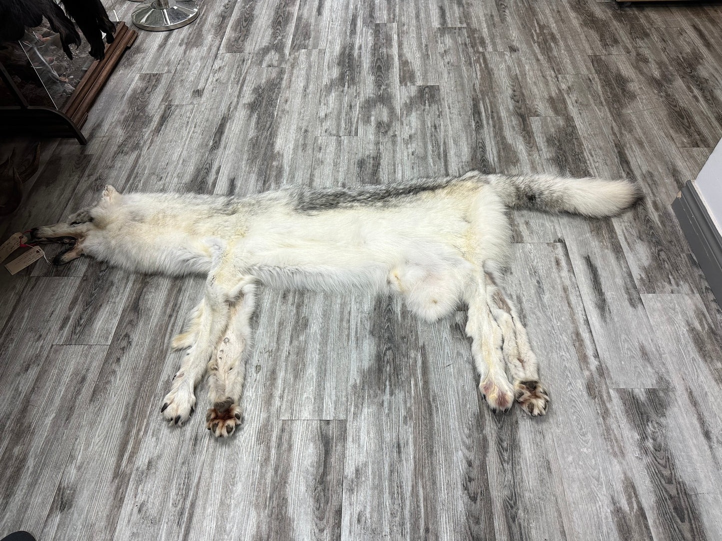 Peau - Loup Arctique #0000991