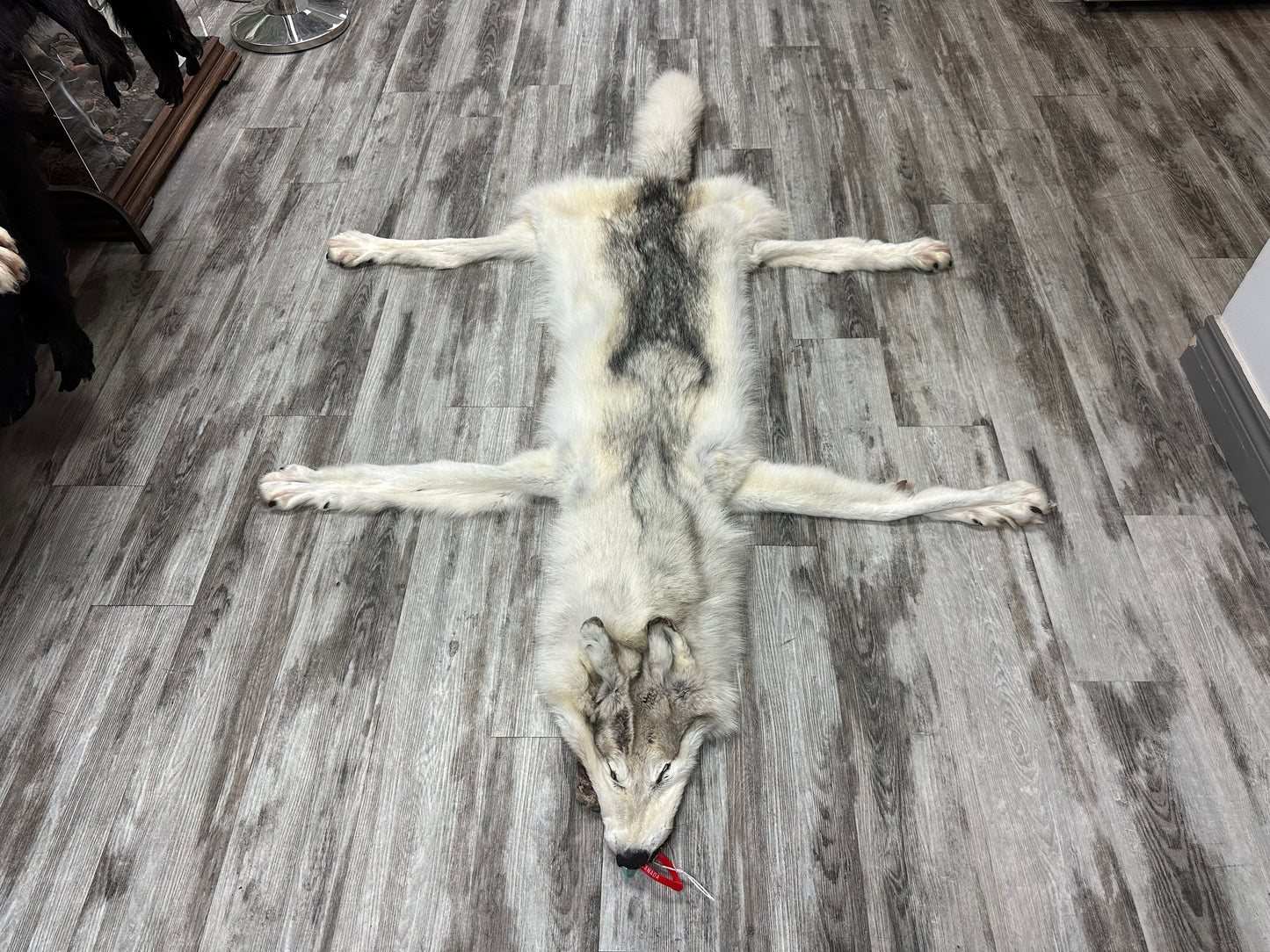 Peau - Loup Arctique #0000991