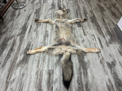 Peau - Loup des bois #0001001