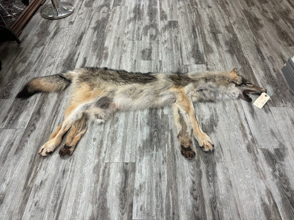 Peau - Loup des bois #0001001