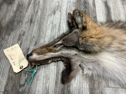 Peau - Loup des bois #0001001