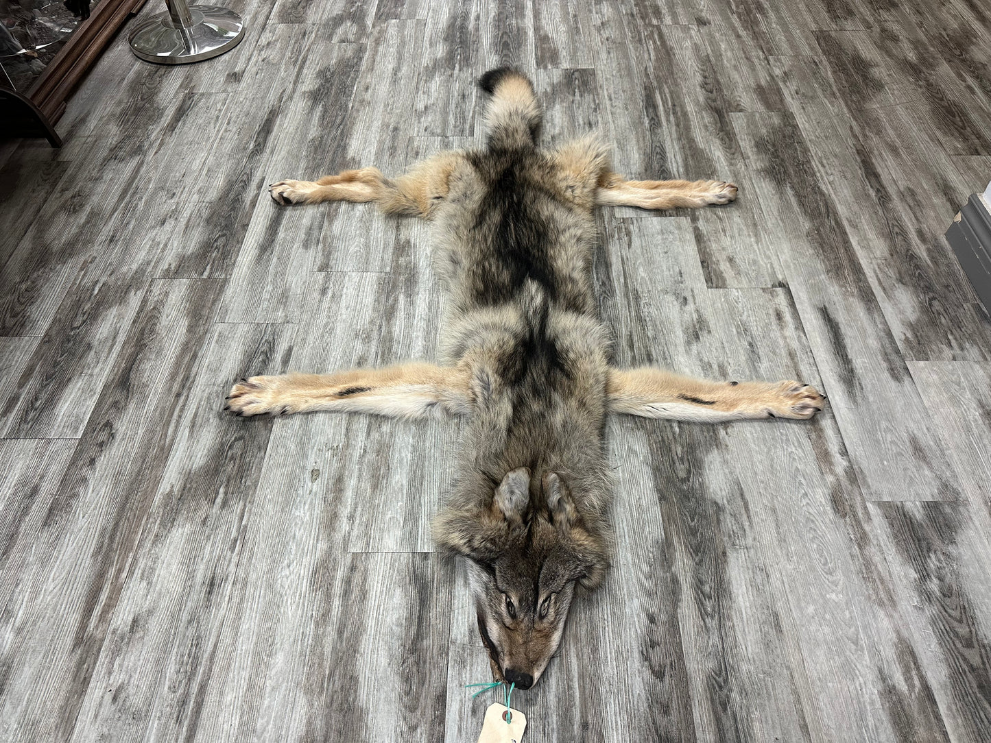 Peau - Loup des bois #0001001