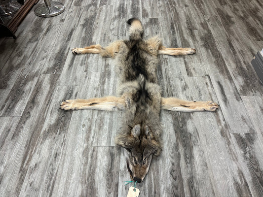 Peau - Loup des bois #0001001