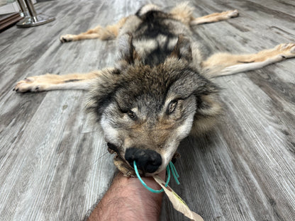 Peau - Loup des bois #0001001