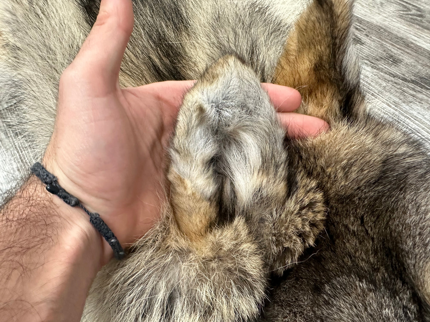 Peau - Loup des bois #0001001