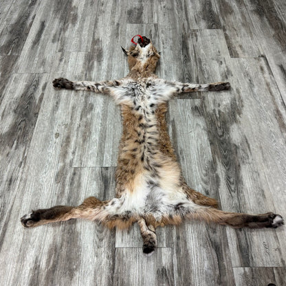 Dressed Skin - Bobcat #0001010