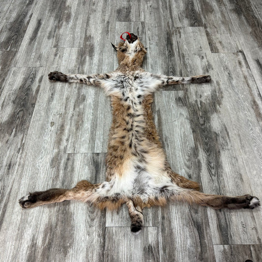 Peau - Bobcat #0001010