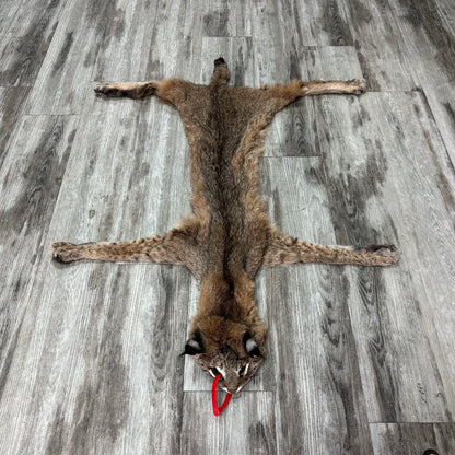 Dressed Skin - Bobcat #0001010