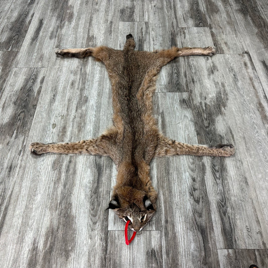 Peau - Bobcat #0001010