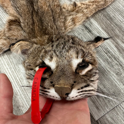Dressed Skin - Bobcat #0001010