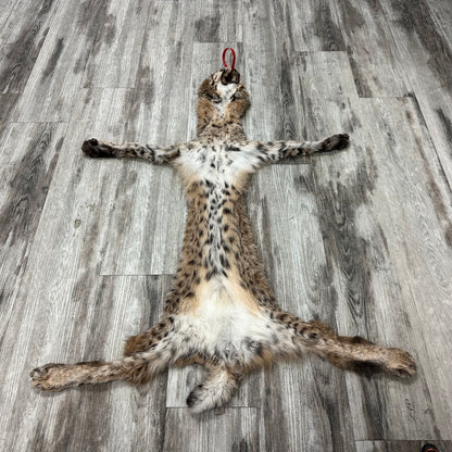 Dressed Skin - Bobcat #0001011