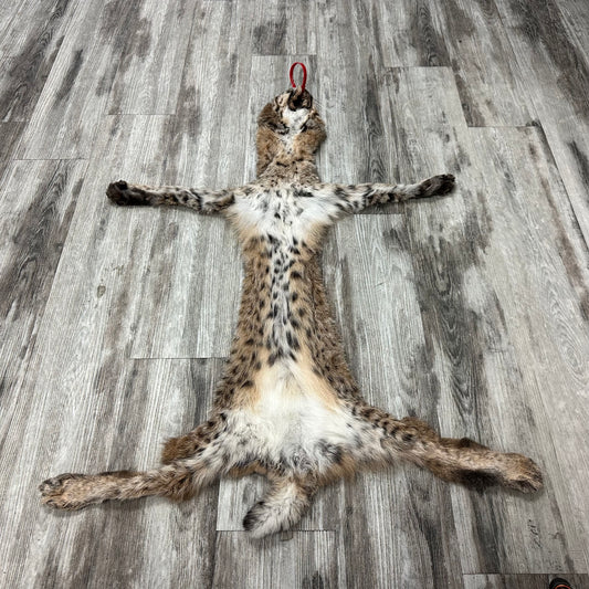 Peau - Bobcat #0001011