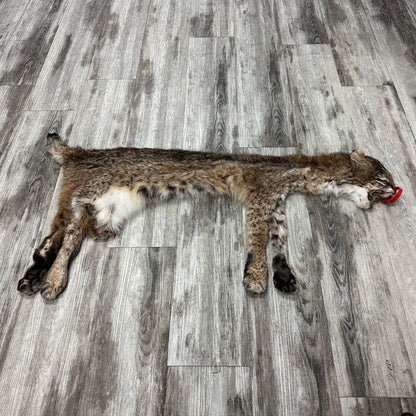 Dressed Skin - Bobcat #0001011