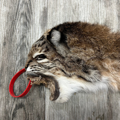 Dressed Skin - Bobcat #0001011