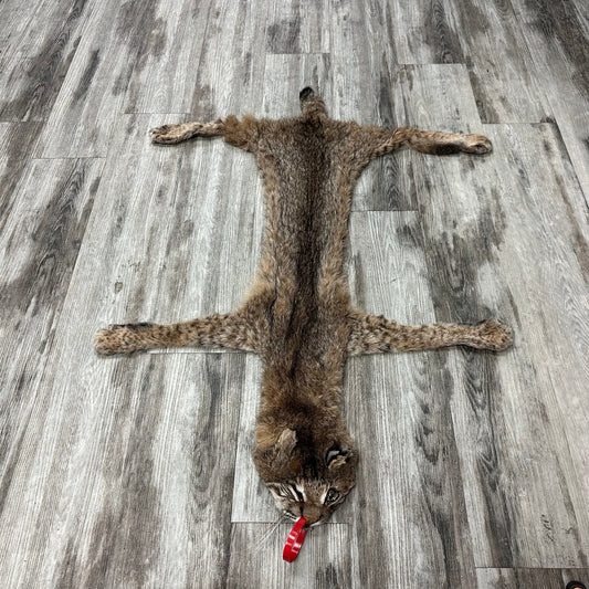 Peau - Bobcat #0001011