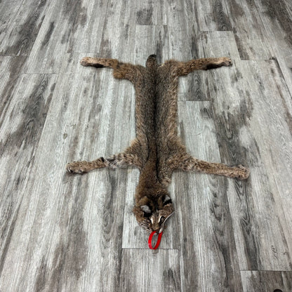 Dressed Skin - Bobcat #0001014