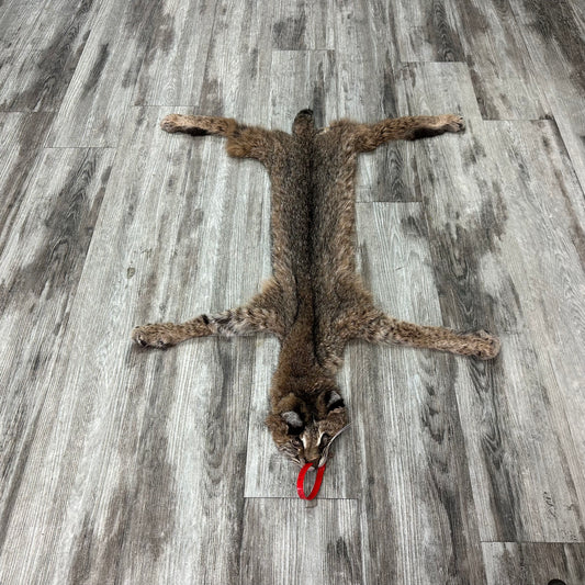 Peau - Bobcat #0001014