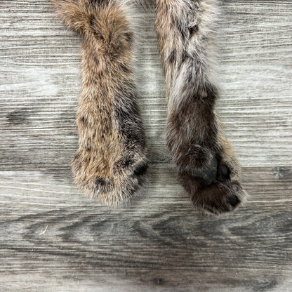 Dressed Skin - Bobcat #0001014