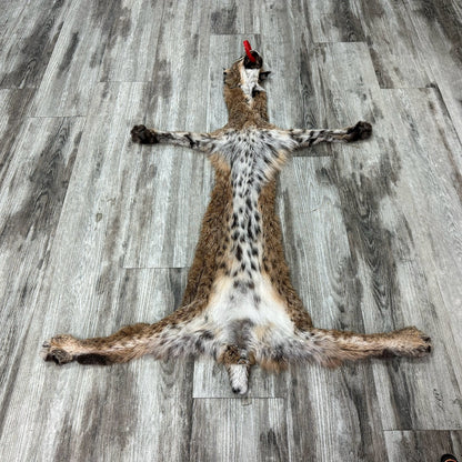 Dressed Skin - Bobcat #0001015