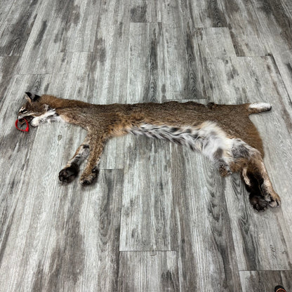 Dressed Skin - Bobcat #0001015