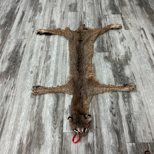 Peau - Bobcat #0001015