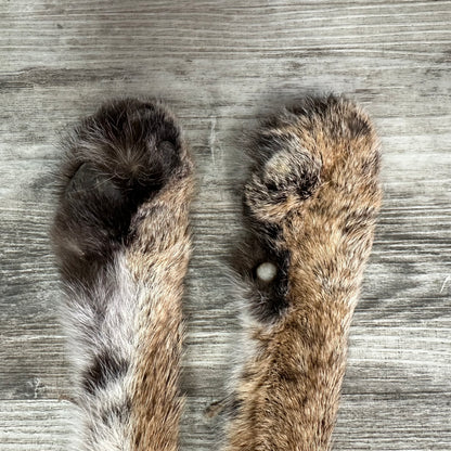 Dressed Skin - Bobcat #0001015