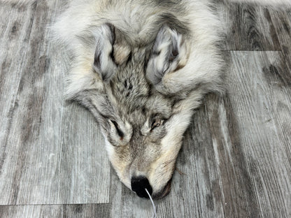Peau - Loup Arctique #0001299
