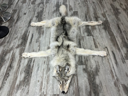 Peau - Loup Arctique #0001299