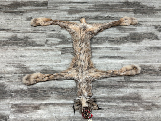 Peau - Lynx #0001361