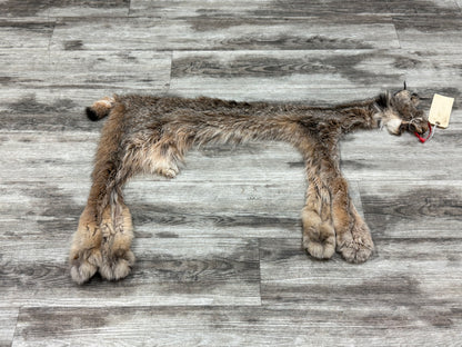 Peau - Lynx #0001361