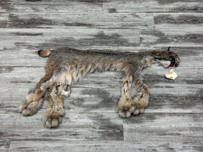 Peau - Lynx #0001362