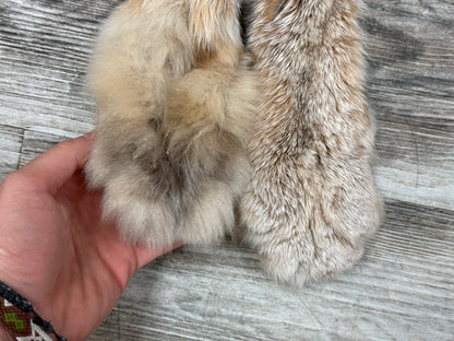 Peau - Lynx #0001362