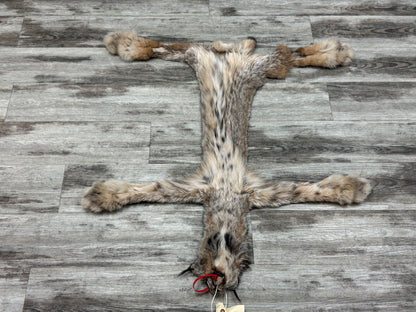 Peau - Lynx #0001362