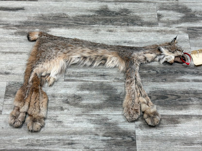 Peau - Lynx #0001363