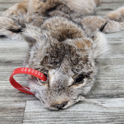 Peau - Lynx #0000890