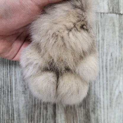 Peau - Lynx #0000890